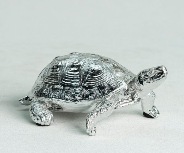 Turtle Decoration (6)