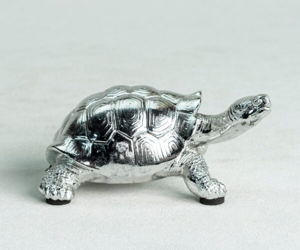 Turtle Decoration (8)