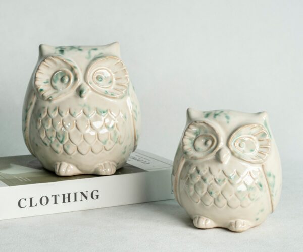 Wholesale Ceramic Owls (2)